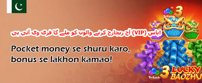سلوٹس کے لیے مفت اسپنز 🎡 promotion